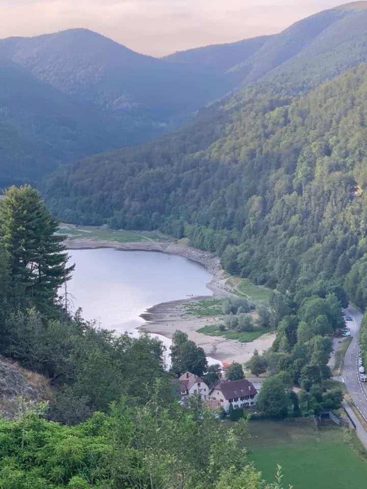 Petite Maison Au Calme Avec Jardin Cloture Les Animaux Bienvenue Mollau Esterno foto